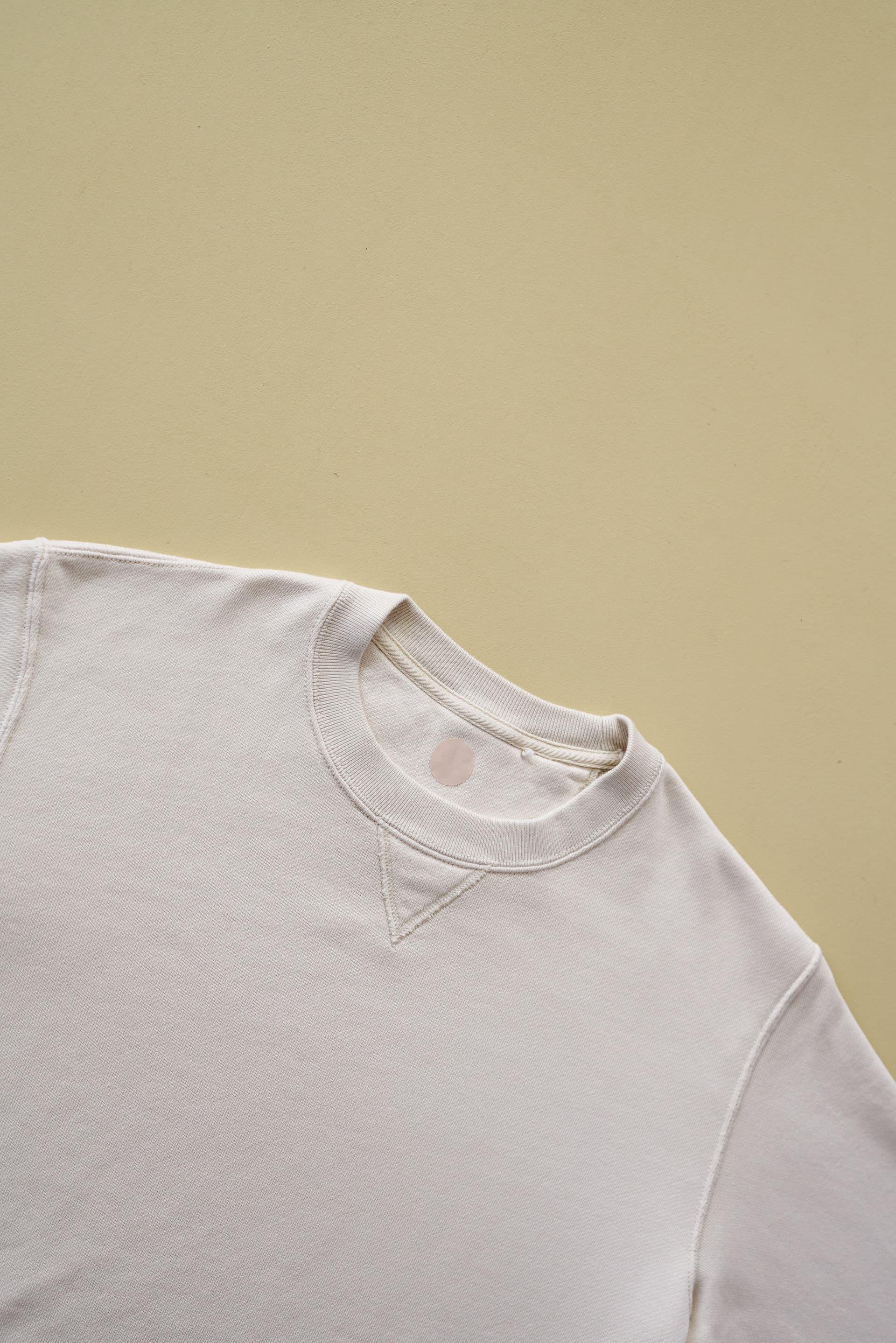 Sweatshirt merchandise preview